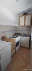 a kitchen with a stove and a sink in it at Apartment Valeriana in Herceg-Novi