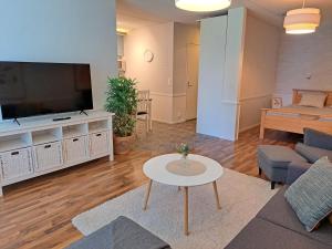 TV a/nebo společenská místnost v ubytování Ellivuori Resort Hehku 2