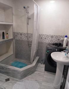 Kylpyhuone majoituspaikassa Family Apartment in Signagi