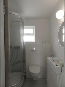 een badkamer met een douche, een toilet en een wastafel bij Farmhouse Meiri-Tunga 1 in Hella