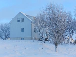 ein Haus auf einem schneebedeckten Hof mit einem Baum in der Unterkunft Farmhouse Meiri-Tunga 1 in Hella