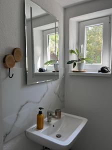 bagno con lavandino e specchio di Privat a Liptovský Ján