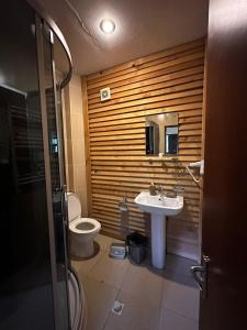 Vonios kambarys apgyvendinimo įstaigoje Villa Mestia Hotel