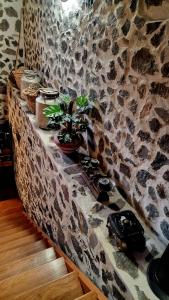 Fotografie z fotogalerie ubytování Palmital bajo Casa Canaria v destinaci Telde