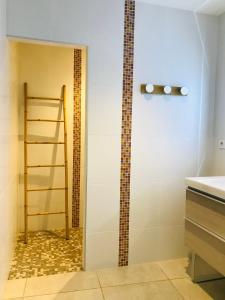 a bathroom with a ladder next to a shelf at ferme st pierre suite, piscine, clim, repas, cheminée in Chabeuil