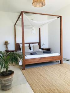 1 dormitorio con cama con dosel y maceta en ferme st pierre suite, piscine, clim, repas, cheminée, en Chabeuil