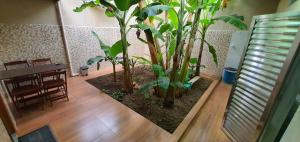 um quarto com uma mesa e algumas plantas nele em Casa aconchegante com WiFi Governador Valadares MG em Governador Valadares