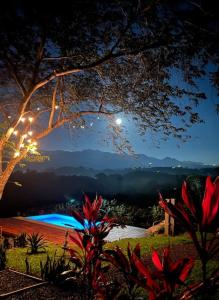a view of a swimming pool at night at Luxury Villa Carao. Jungle Paradise. Amazing Views. Great wifi! in San Mateo