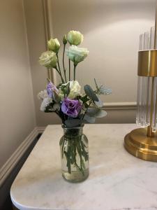 Mynd úr myndasafni af Waterloo Town House & Suites í Dublin