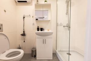 a bathroom with a toilet and a sink and a shower at Agamim Apartments in Mikołajki
