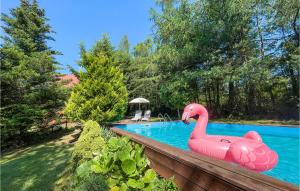 蘇恩奇諾的住宿－阿馬卡蘇蕾茲諾維斯度假屋，游泳池里的粉红色充气粉红色火烈鸟