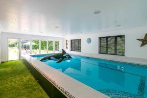 Swimmingpoolen hos eller tæt på Scotsdale