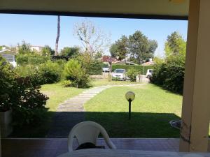Zahrada ubytování Villa Albarella