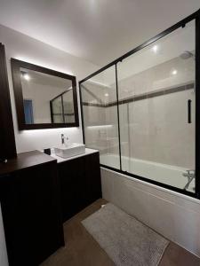 Appartement Porte de Paris / Stade de France في سان دوني: حمام مع حوض ومرآة كبيرة