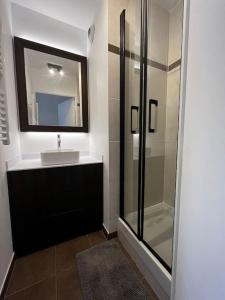 y baño con lavabo y ducha acristalada. en Appartement Porte de Paris / Stade de France, en Saint-Denis