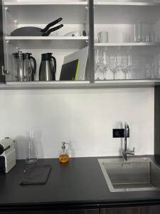a kitchen counter with a sink and a shelf with glasses at komfortfertige Wohnungen Freihof in Vienna