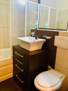 La salle de bains est pourvue de toilettes blanches et d'un lavabo. dans l'établissement Joy City Stay Republicii 19, à Timişoara