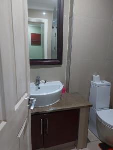 a bathroom with a sink and a toilet and a mirror at The Sails in Durban