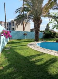 a yard with a palm tree and a swimming pool at Villa by the river near meteora in Tríkala