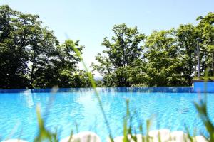 Bazén v ubytování Villa via Lapis - Panoramablick über Dresden - Garten - Pool - Sauna - Luxus nebo v jeho okolí