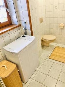 a small bathroom with a toilet and a sink at Haus Gerda Ferienwohnung 2 in Arnbruck +26 photos