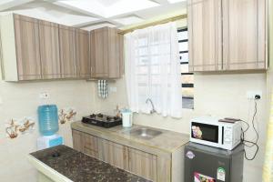 a kitchen with a sink and a microwave on a counter at Zedek Furnished Apartment 203 in Nairobi
