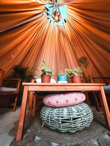 une table en bois avec des plantes en pot sur un tabouret dans l'établissement Desert Lodges - La Terracota, à Ica
