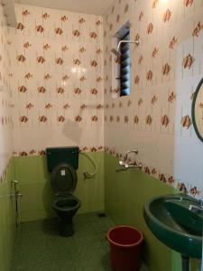 a bathroom with a green toilet and a sink at Casa De Calangute Inn in Calangute