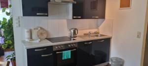 a small kitchen with black cabinets and a sink at Ferienwohnung Bergidyll in Schwarzenberg (Erzgebirge)