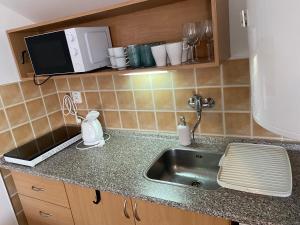Kuchyň nebo kuchyňský kout v ubytování Apartmány Vltavanka