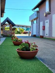 three pots of flowers sitting on the grass in front of a building at Hostel Suzzzy in Novska
