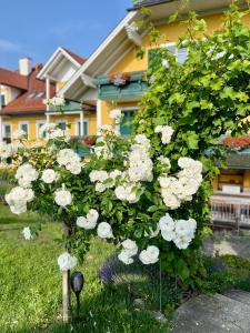 un arbusto de flores blancas delante de una casa en Panoramahotel Steirerland, en Kitzeck im Sausal