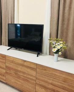 Televiisor ja/või meelelahutuskeskus majutusasutuses Vista Studio