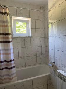 een badkamer met een bad en een raam bij Guesthouse Abrlic in Seliste Dreznicko