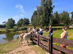 un groupe de personnes qui regardent des animaux derrière une clôture dans l'établissement Dzika Zagroda, à Dziemiany