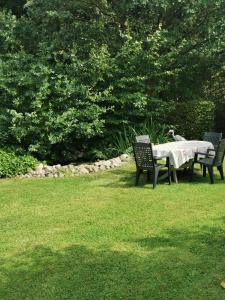 Goldberg的住宿－Pension zum Park，草地上的两把椅子和一张桌子