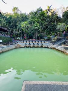 una gran piscina de agua verde en un parque en Pondok Wisata Grya Sari, en Banjar