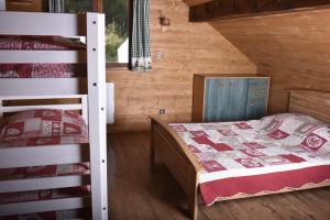 a bedroom with a bunk bed and a ladder at CHALET LA RIOULE 16 pers in Doucy