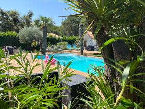 una piscina in un giardino con piante di Lac et Nature a Sanguinet
