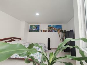 1 dormitorio con 1 cama y una maceta en Beautiful and bright studio apartment with rooftop, en Cali
