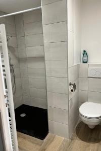 a small bathroom with a toilet and a shower at Studio Lac chalain 30 m2 piscine chauffe in La Châtelaine
