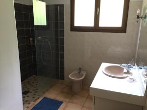 uma casa de banho com um lavatório, um WC e um chuveiro em Agréable chambre d'hôte em Cordes-sur-Ciel