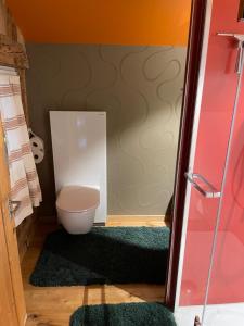 a bathroom with a toilet and a green rug at Sérénité, tranquility, amazing view, appartment in Einigen