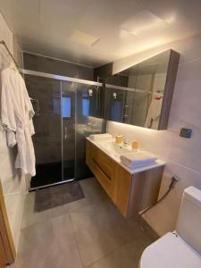 a bathroom with a shower and a sink and a toilet at Pépite au centre ville avec vue sur la Cathédrale in Saint-Denis