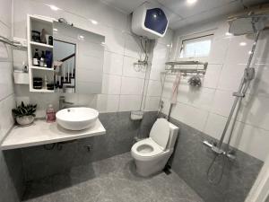 ein Bad mit einem WC, einem Waschbecken und einer Dusche in der Unterkunft Green Homestay in Hanoi