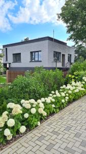 einen Garten mit weißen Blumen vor einem Haus in der Unterkunft Jūrmalas māja in Salacgrīva