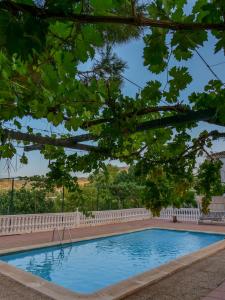 a swimming pool with a white fence and trees at Villa Ricardo in Fornes