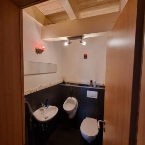 La salle de bains est pourvue de toilettes, d'un lavabo et de toilettes. dans l'établissement Ferienwohnung mit Balkon, à Oberelsbach