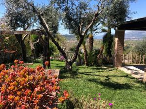 Vườn quanh Villa Grazya