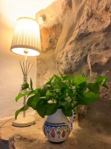 una lámpara y un jarrón con una planta sobre una mesa en Casas de Almajar, en Prado del Rey